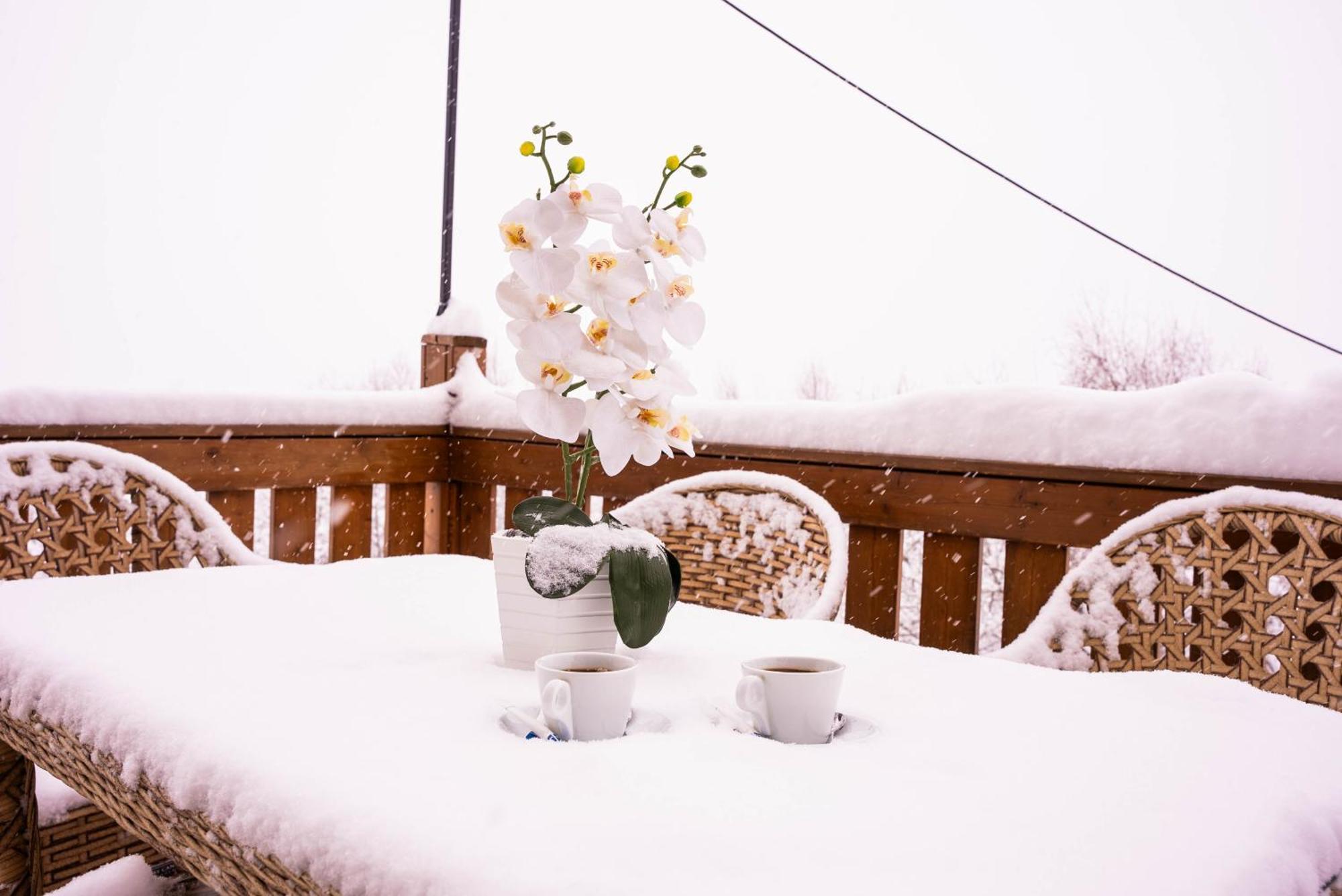 Gudauri Inn Ngoại thất bức ảnh Snow in Jerusalem